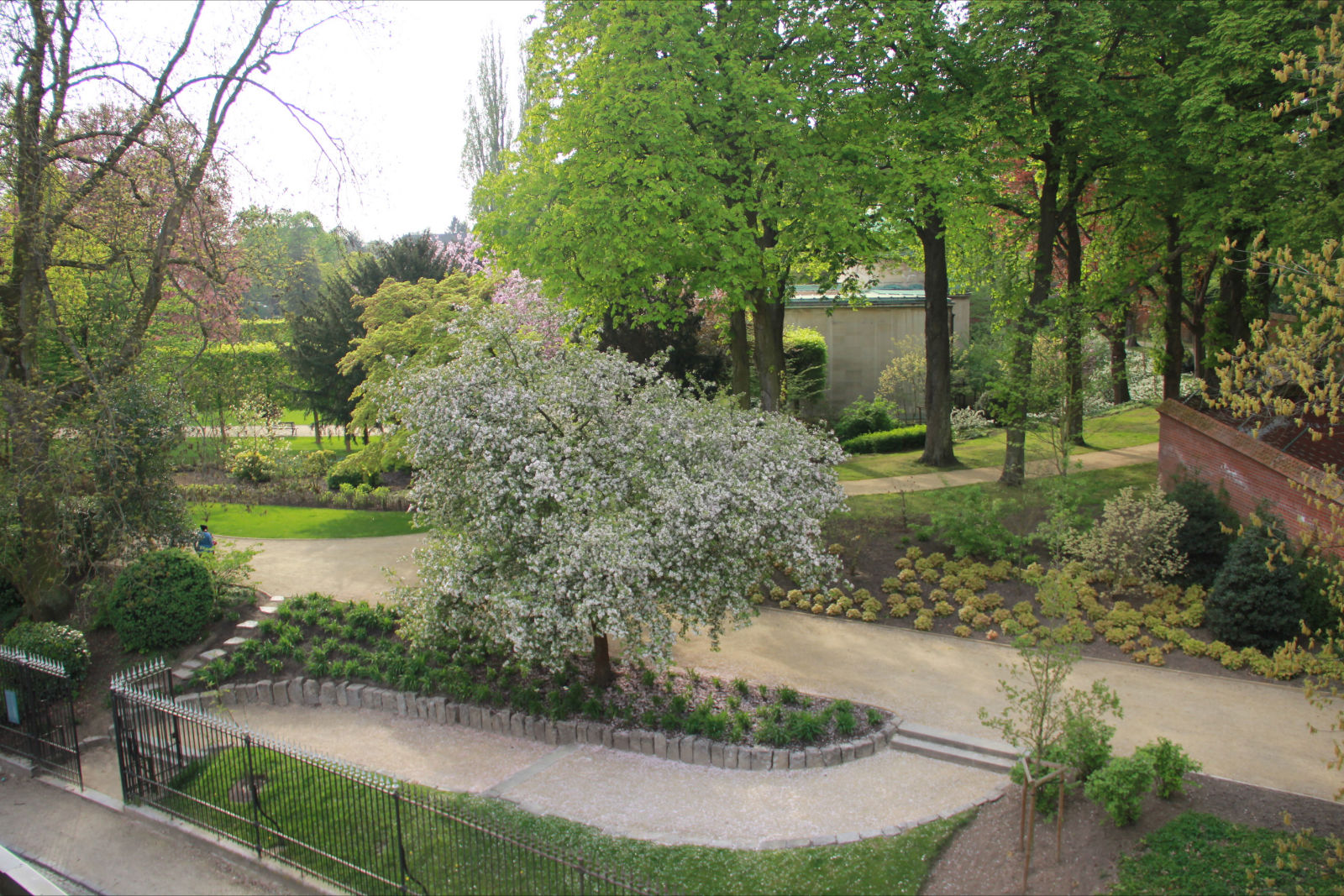 Room in a shared apartment