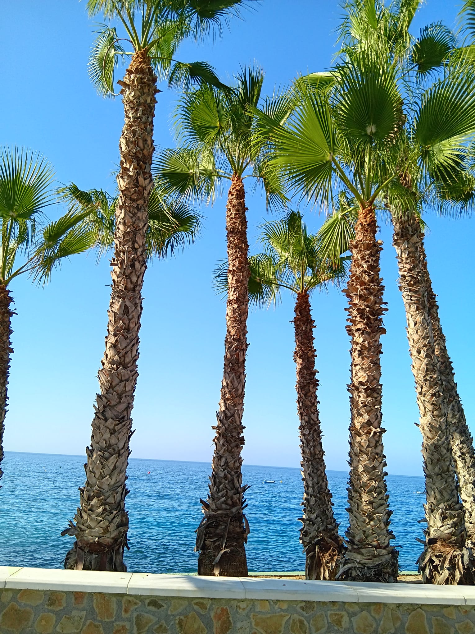 Chambres louer Andalousie — photo 7