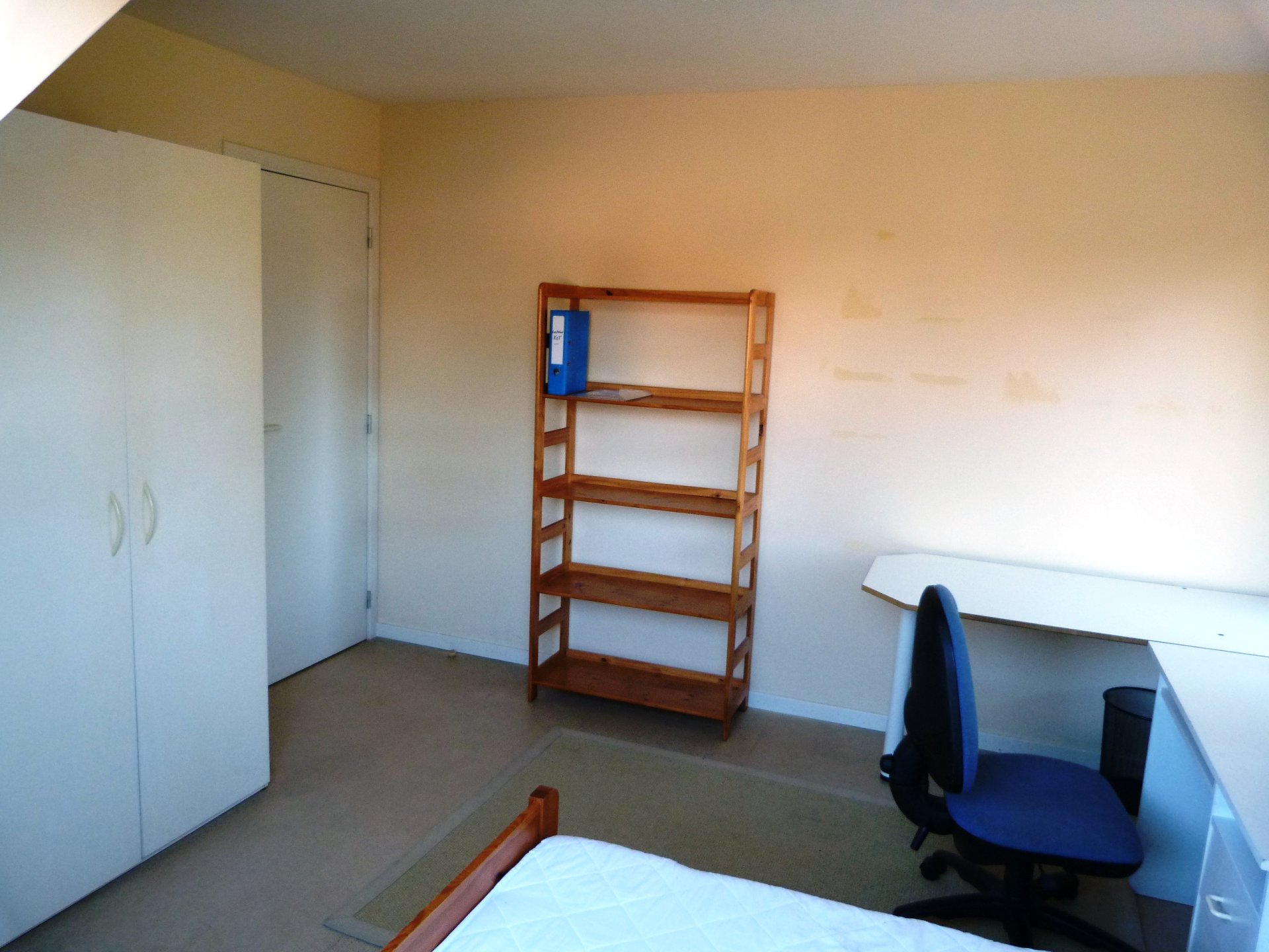 Chambre étudiante dans quartier boisé et calme — Kot à Ottignies-Louvain-la-Neuve — photo 2/3