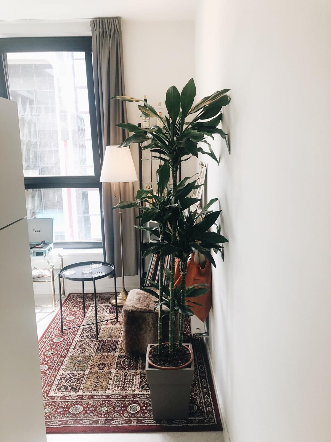 Chambre étudiante moderne bien située au centre — Kot à Bruxelles — photo 4/8